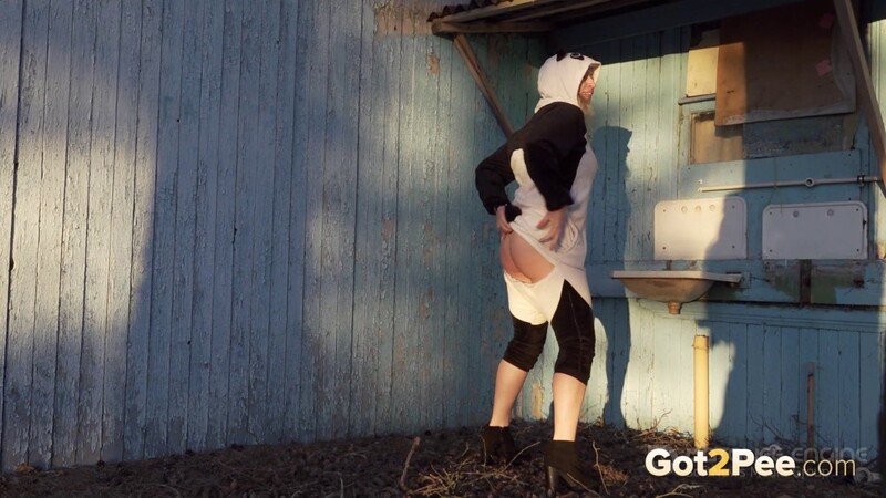 Panda Pissing [FullHD 1920P]