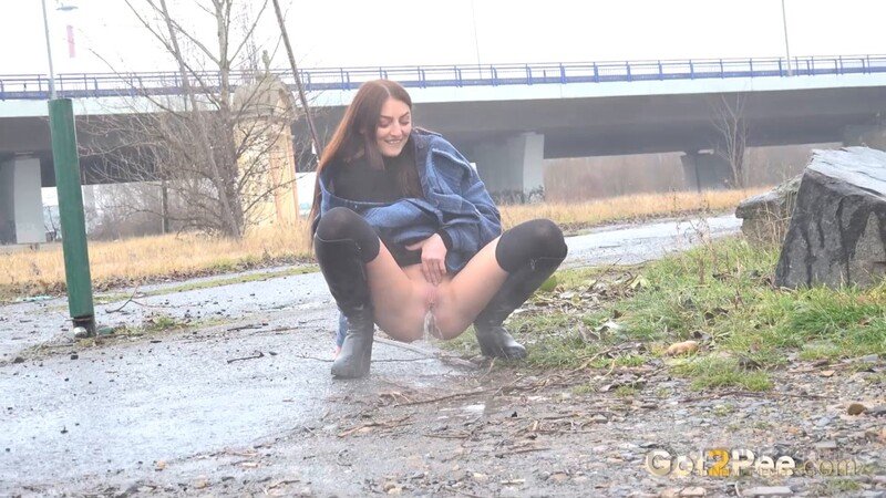 Public Steam [FullHD 1920P]