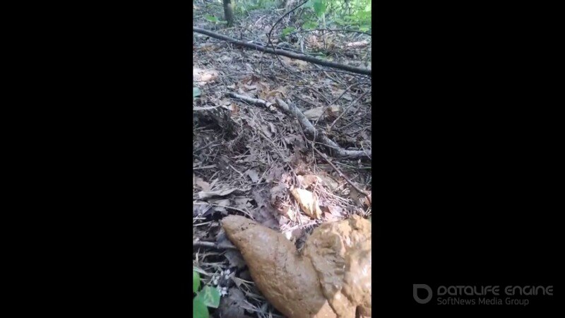 poogirla – poop in the park [HD 1280P]