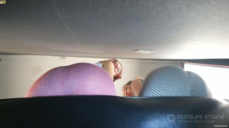 Wildcats - Have You Ever Been Humiliated Like This Worm [4K 2160P]