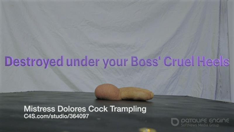 Mistress Dolores Slave - Angry Boss's CBT Shoejob under Work Heels VALUE PACK 4 versions [HD]