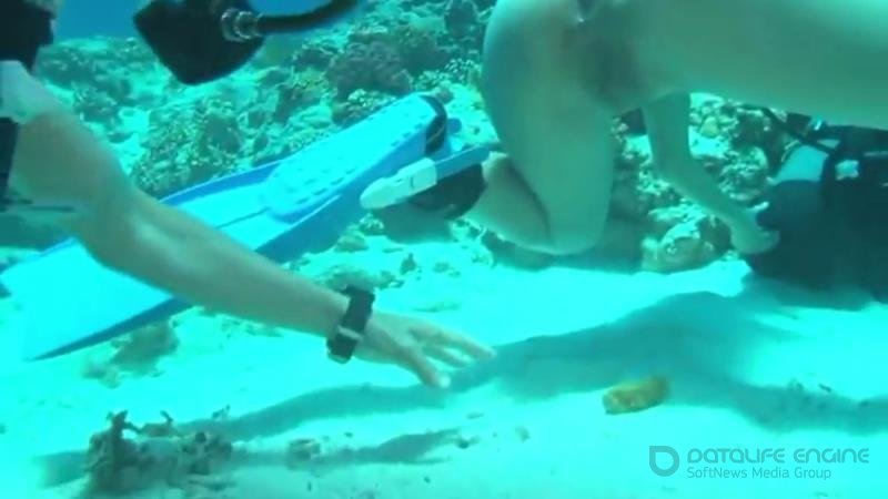 Shitting in the Sea [SD]