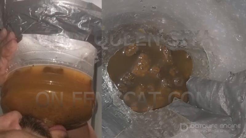 SSBBW Queen Siya – 2 Scenes – On all Fours, Vile Diarrhea [HD]