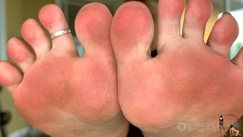 Femdom Puppy Play - Autumn Bodell's Foot Licking [FullHD]