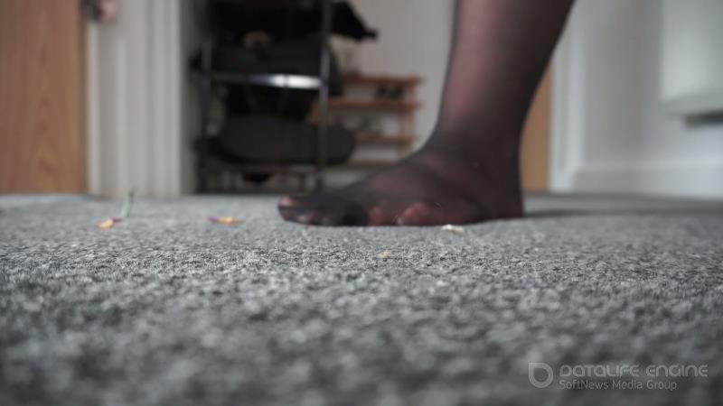 SashaCurves - Giantess Plays Hide And Seek With Shrunken Colleagues [FullHD]