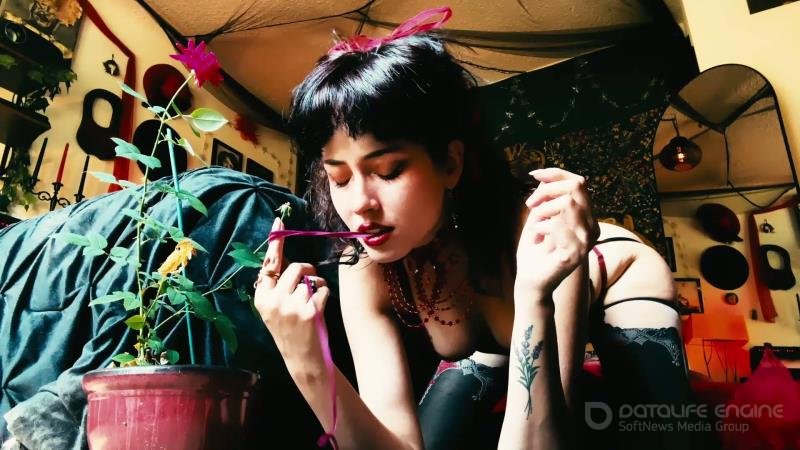 EnchantrixV - Rose Spell [FullHD]