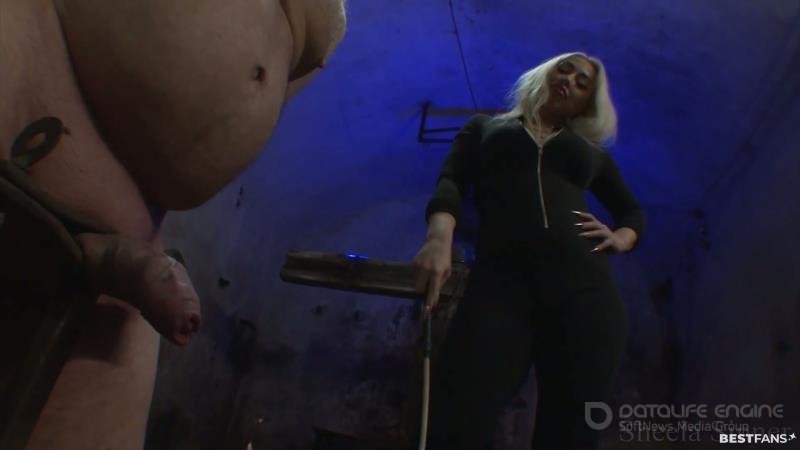 Sheela Sinner - Cbt Training Is So Much Fun When My Victims Scream [FullHD]