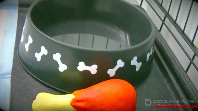 Femdom Puppy Play - Lexi Luna Prepares The For Her Big Date [FullHD]