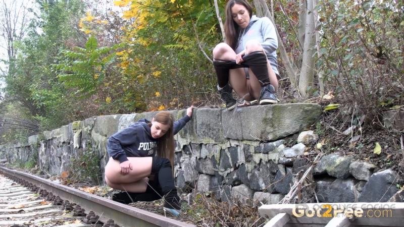 Train Line [UltraHD 4K]