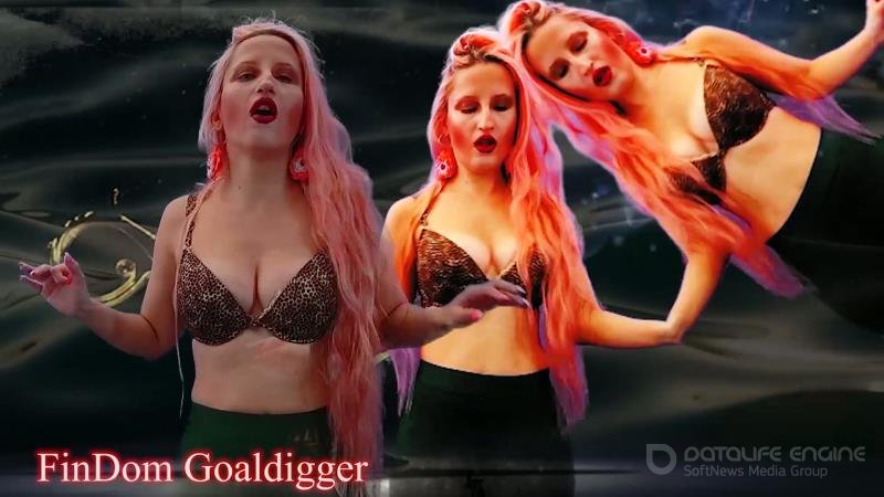 FinDom Goaldigger - Your arousal enlarging [FullHD]