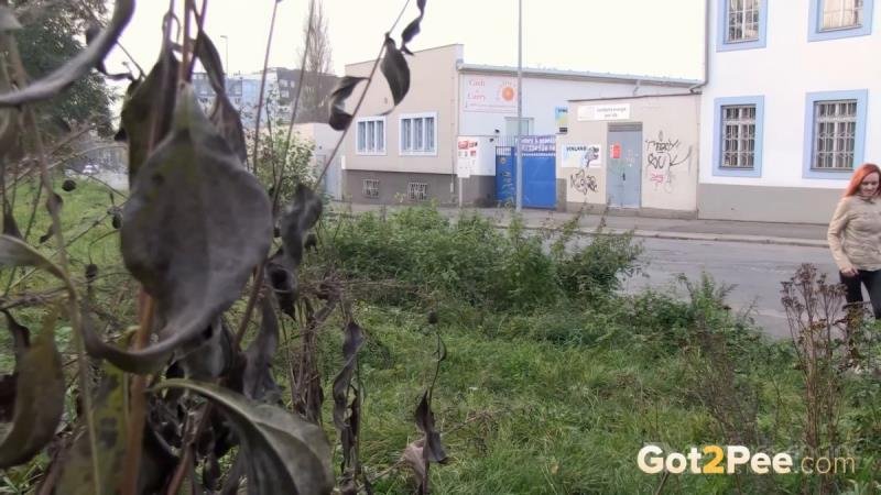 Public Streams [FullHD]