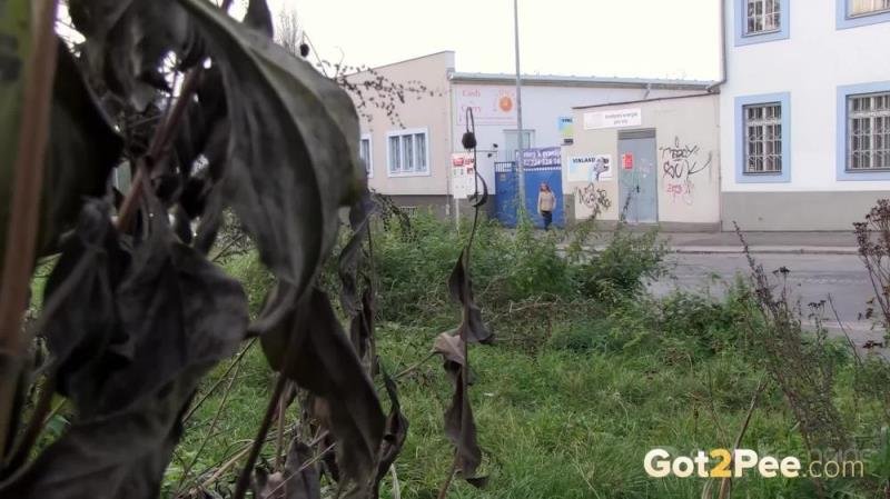 Public Streams [FullHD]