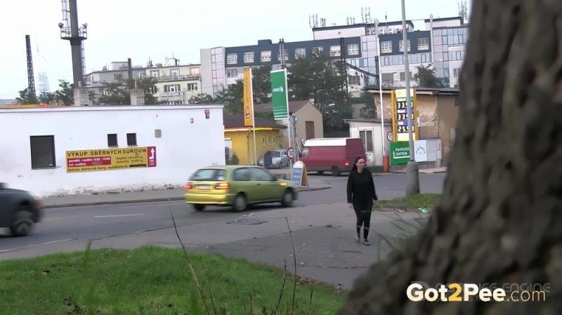 Heavy Traffic [FullHD]