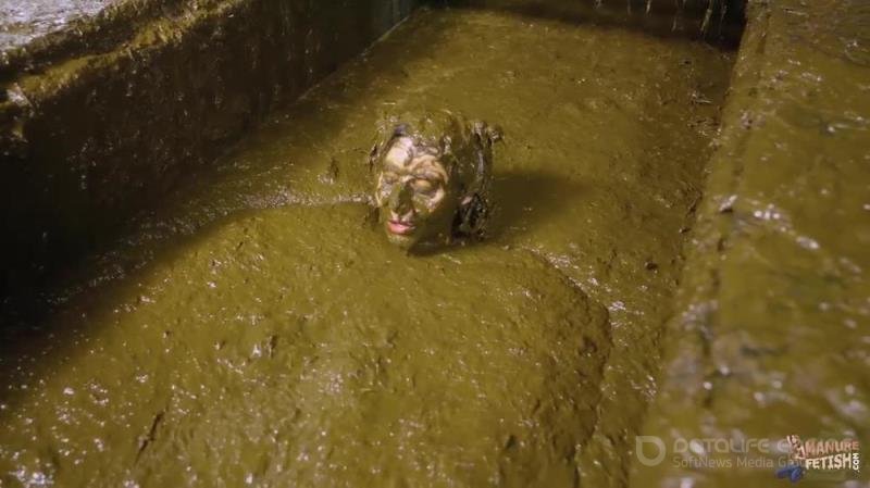 Aliens In Cow Shit [HD]