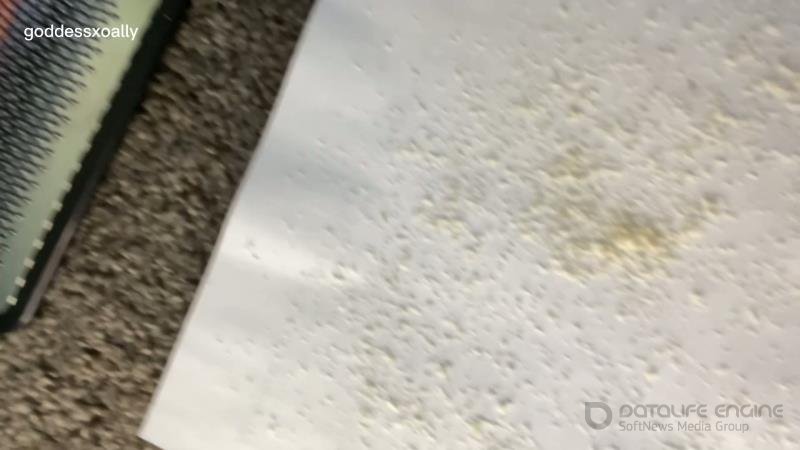 Goddess Ally Etana - Collect My Foot Dust In Your Mouth [FullHD]