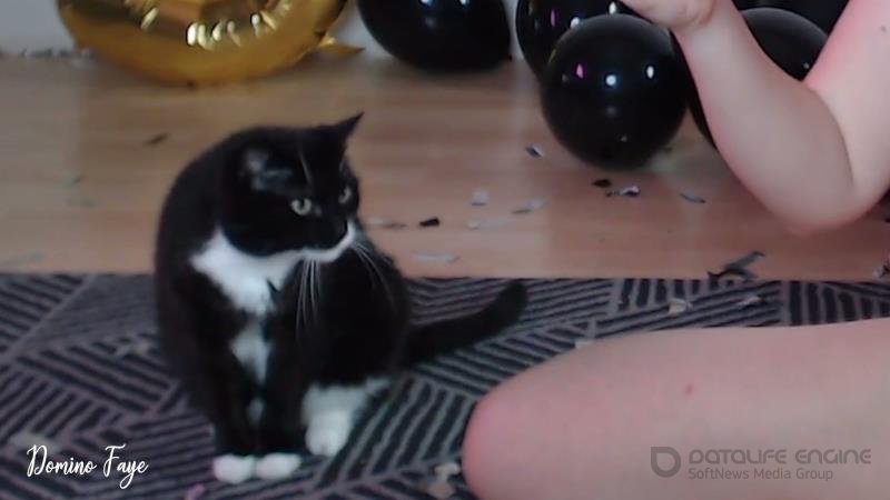 Domino Faye - 5 fucking years [FullHD]
