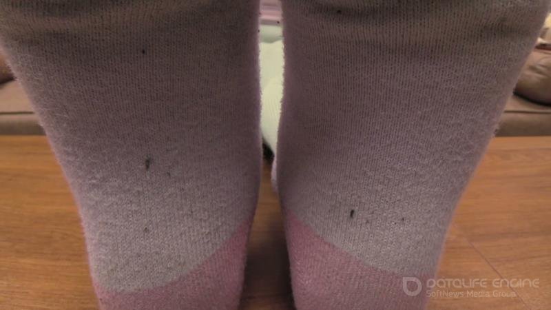 Goddess Jamie Daniels Fetish Clips - Cadence Sweaty Foot Slave [FullHD]