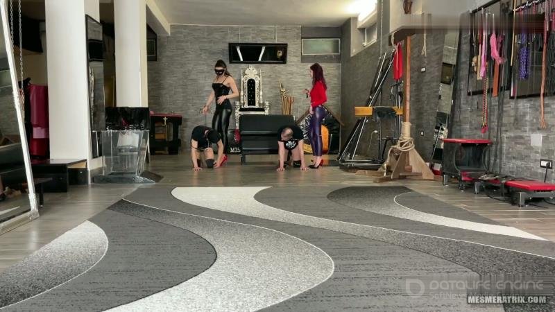 La Regina Dittatrice and Mistress Gaia - Turning My Slaves Into Horses [FullHD]