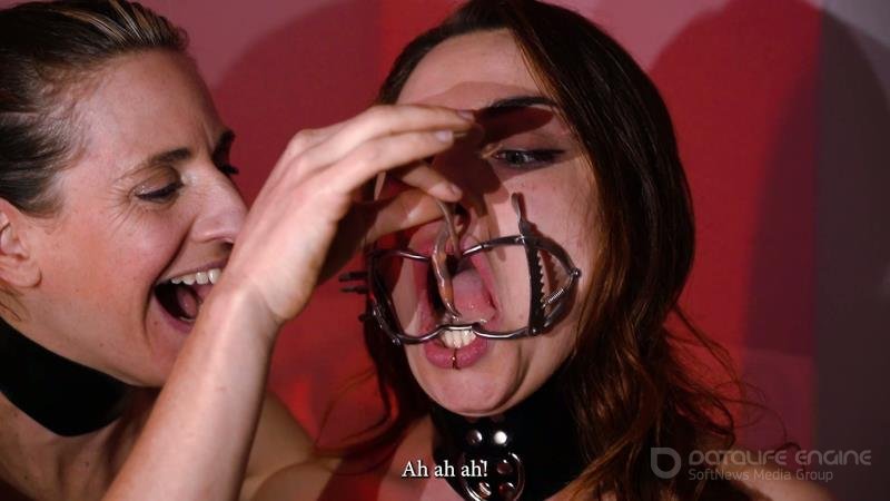 Mistress Revenge - Wrong Holes Only [FullHD]