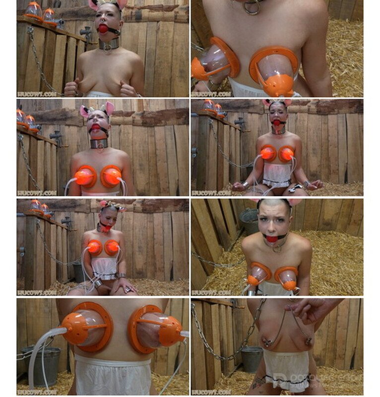 Hucows - Emily Addams - beyond expectations [FullHD]